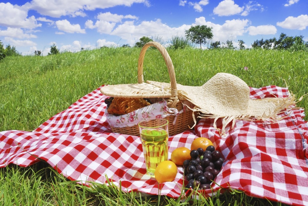 Picnic